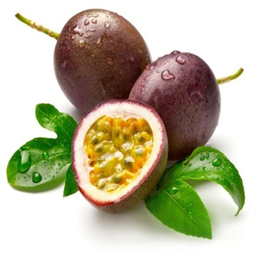 Phạm Huỳnh Gia Bảo