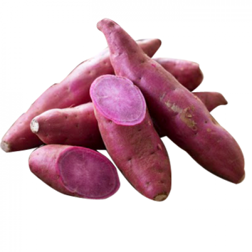 Phạm Huỳnh Gia Bảo