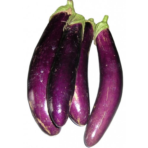 Phạm Huỳnh Gia Bảo