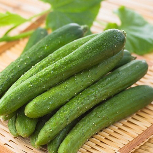 Phạm Huỳnh Gia Bảo