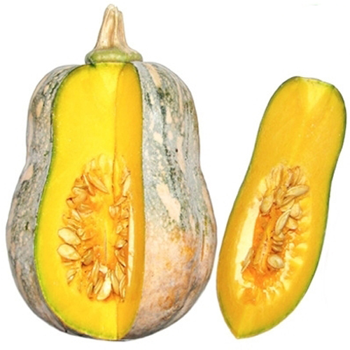 Phạm Huỳnh Gia Bảo
