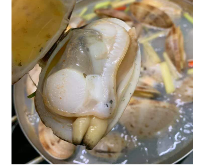 Phạm Huỳnh Gia Bảo