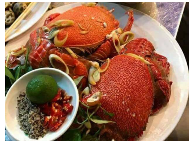 Phạm Huỳnh Gia Bảo