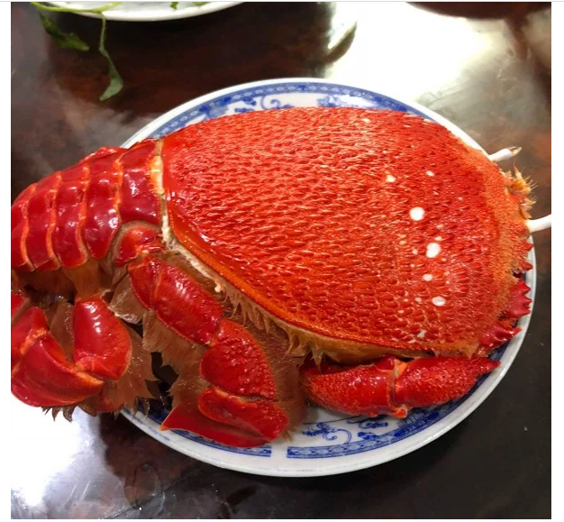 Phạm Huỳnh Gia Bảo