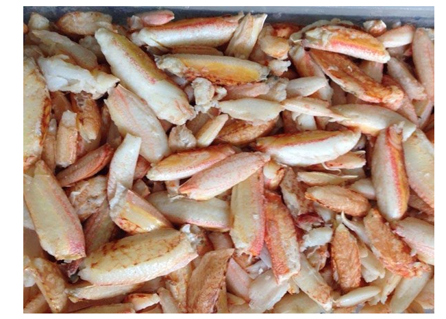 Phạm Huỳnh Gia Bảo