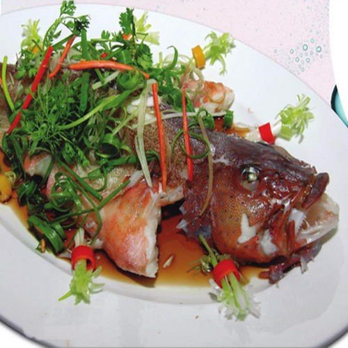 Phạm Huỳnh Gia Bảo