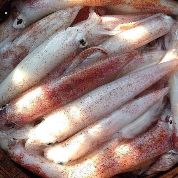 Phạm Huỳnh Gia Bảo