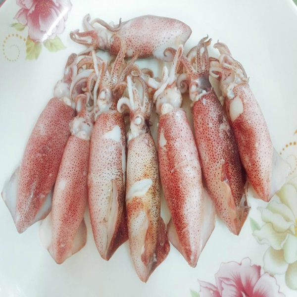 Phạm Huỳnh Gia Bảo