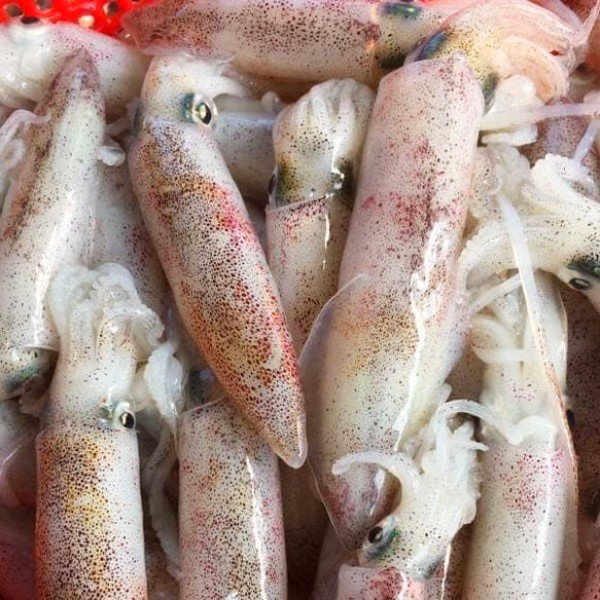 Phạm Huỳnh Gia Bảo