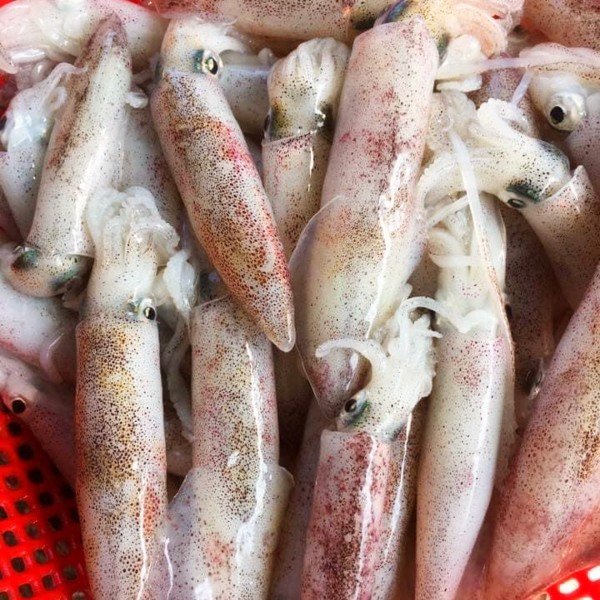 Phạm Huỳnh Gia Bảo