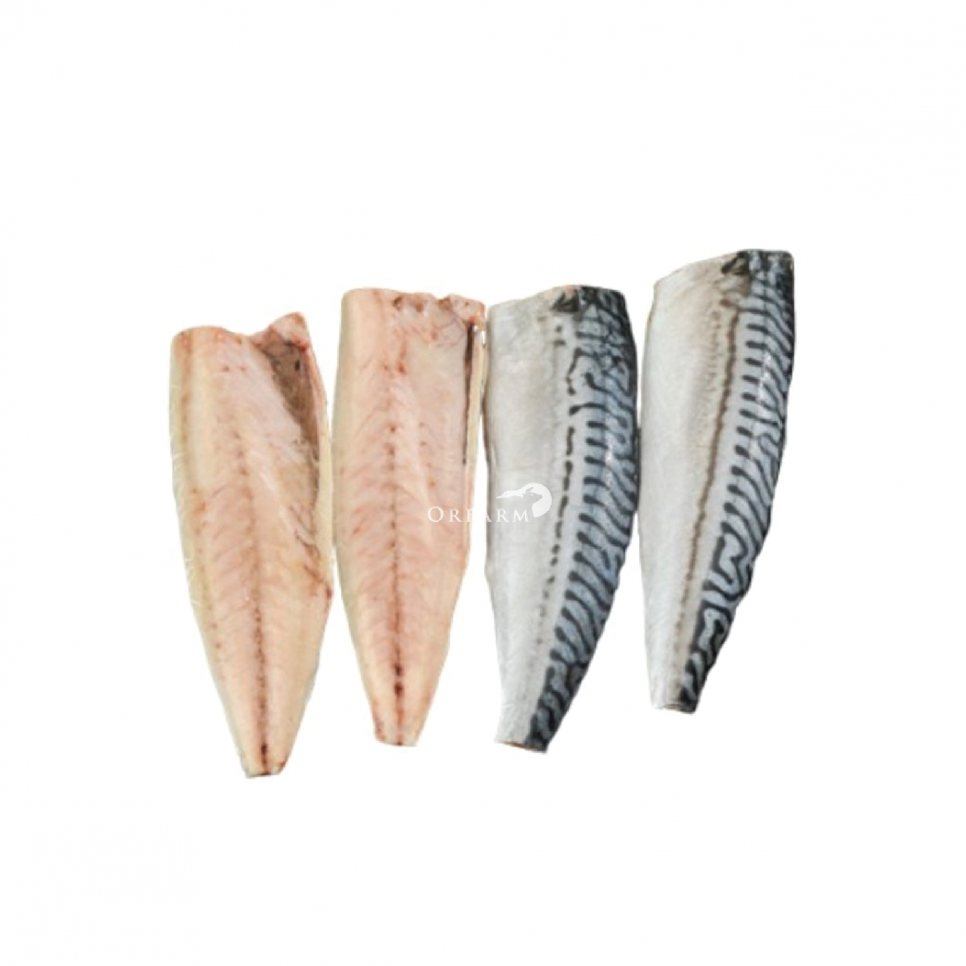 Phạm Huỳnh Gia Bảo