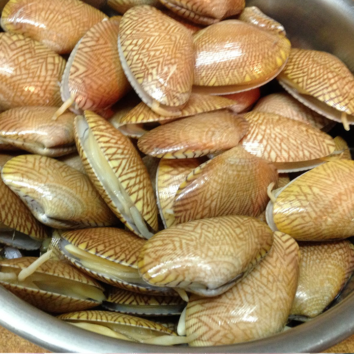 Phạm Huỳnh Gia Bảo