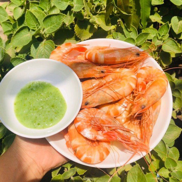 Phạm Huỳnh Gia Bảo
