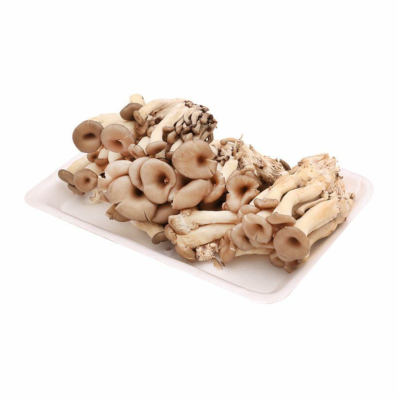 Phạm Huỳnh Gia Bảo